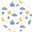 Starry Nights